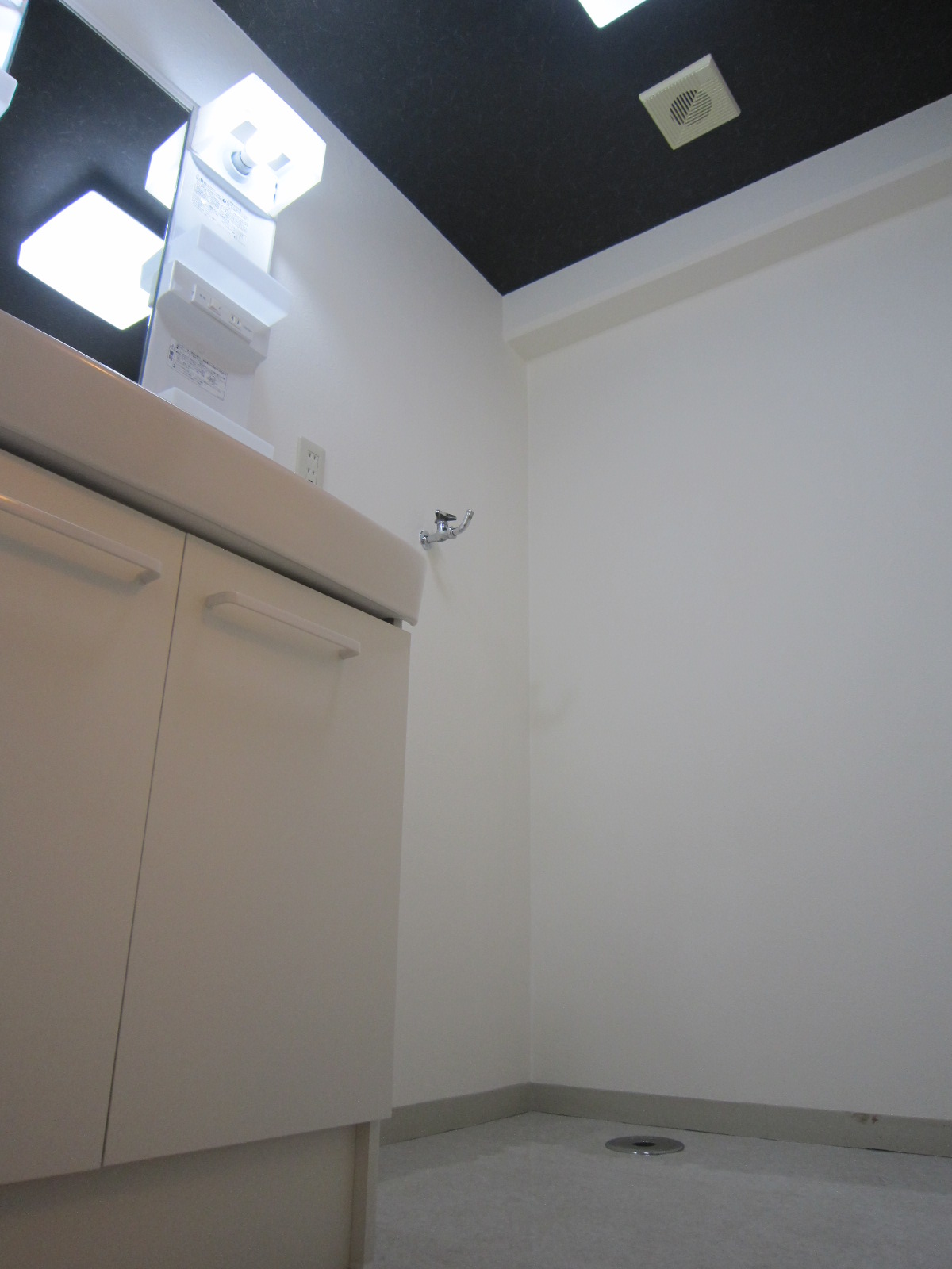 Washroom. Vanity + Laundry Area