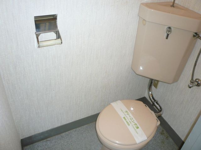 Toilet. This intimate space.