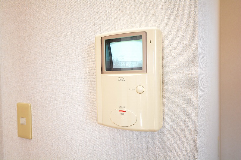 Security. TV door phone