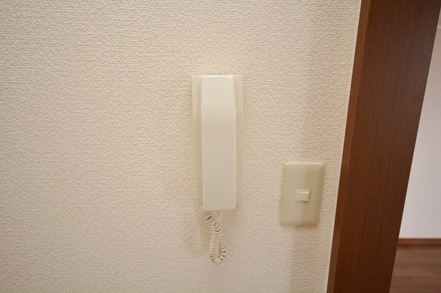 Security. Door phone