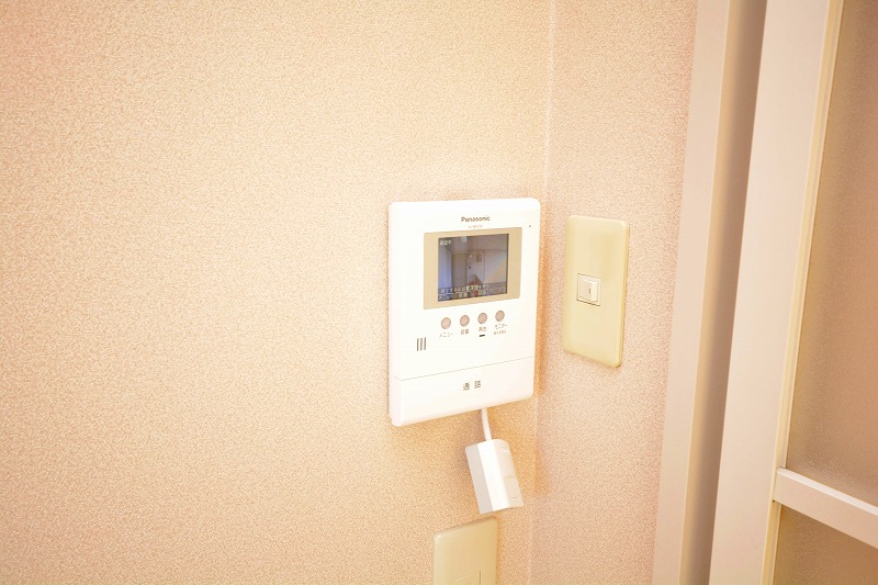 Security. TV door phone