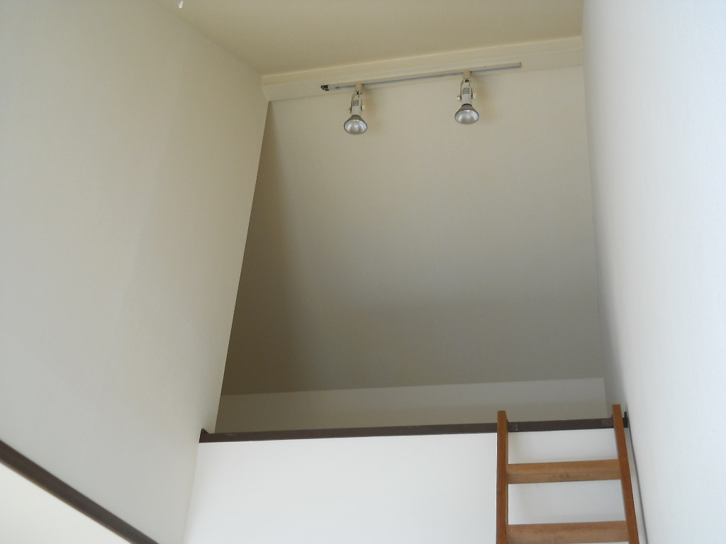 Other room space. Loft. Various how to use because it also comes with lighting in the spread.