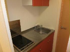 Kitchen. Electric stove ☆ Role in fire prevention!