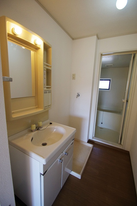 Washroom. Wash basin