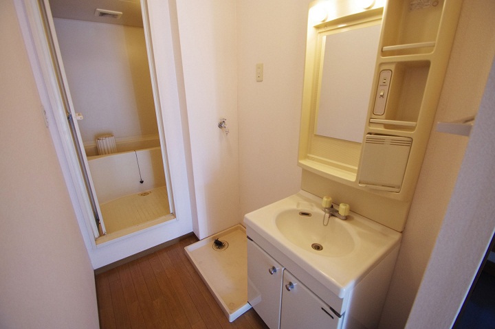 Washroom. Wash basin