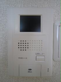 Other. Monitor with intercom