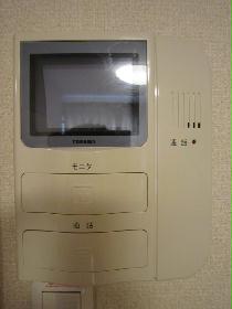 Other. Monitor with intercom