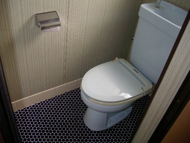 Toilet