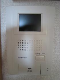 Other. Monitor with intercom