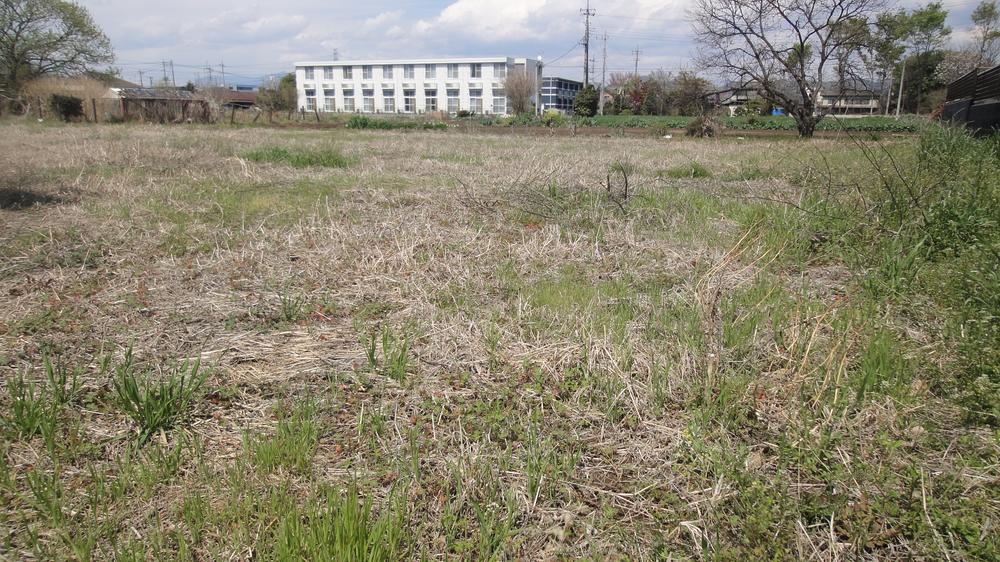 Local land photo