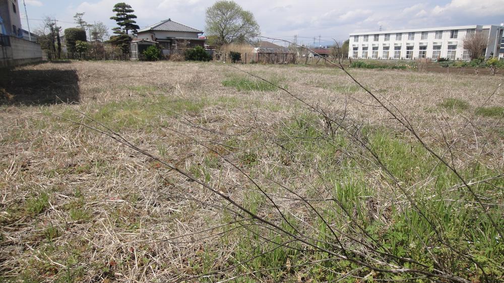 Local land photo