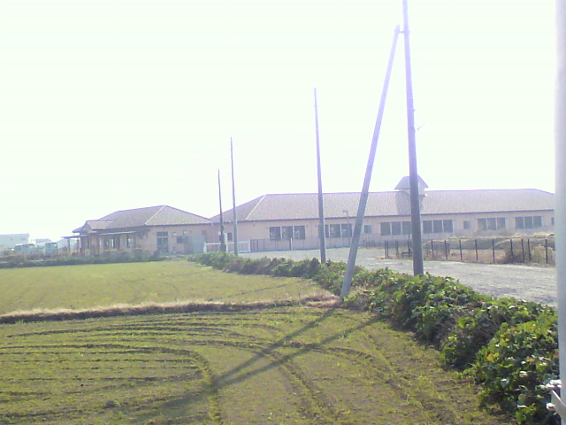 kindergarten ・ Nursery. Dainogo kindergarten (kindergarten ・ 1383m to the nursery)