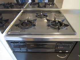 Kitchen. Gas stove