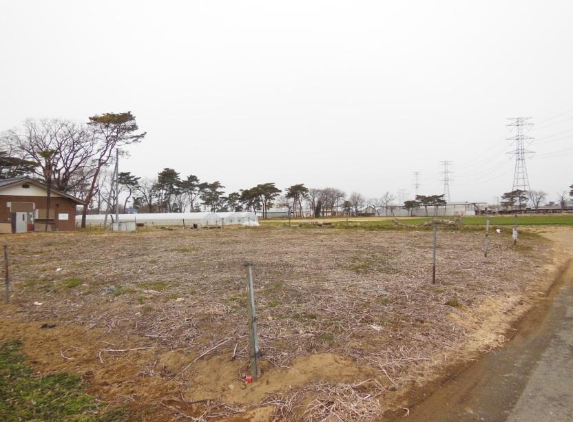 Local land photo