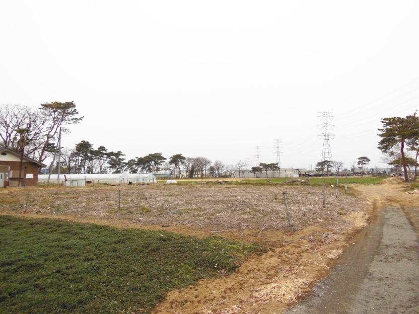 Local photos, including front road