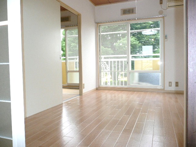 Living and room. Cosiness of looks good living in muted colors