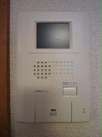 Other. Monitor with intercom