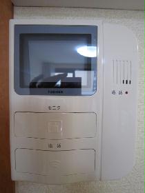 Other. Monitor with intercom