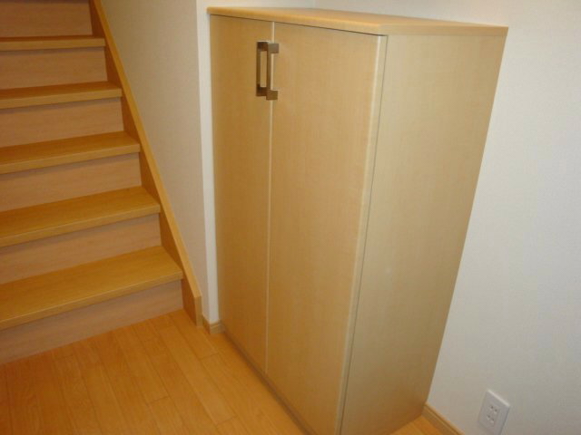 Entrance. Bathroom Dryer