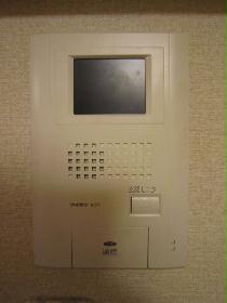 Other. Monitor with intercom