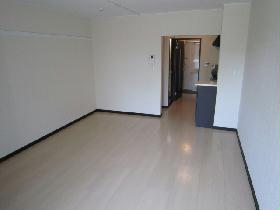 Living and room. Shooting from the window side