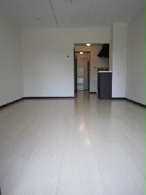 Living and room. Shooting from the window side