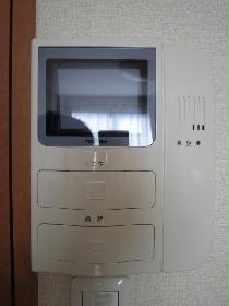 Other. Monitor with intercom