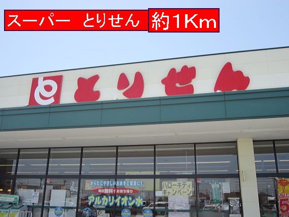 Supermarket. Torisen 1000m until the (super)