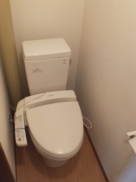 Toilet. Warm water washing toilet seat