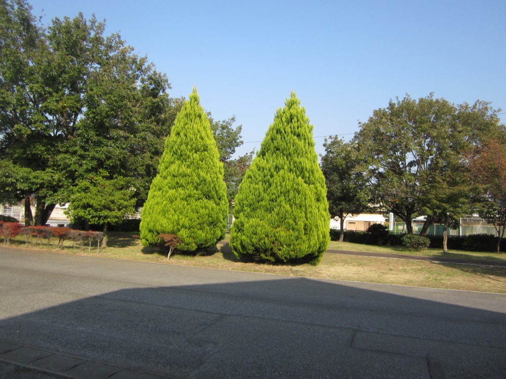 Other. Surrounding environment