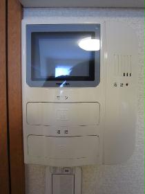 Other. Monitor with intercom