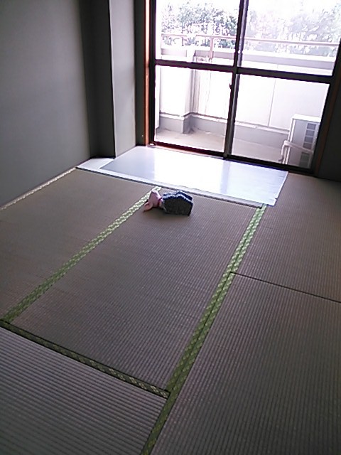 Living and room. Because the south-facing Japanese-style sleeping pig's also comfortably likely