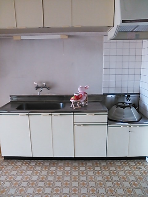 Kitchen. Since the spacious kitchen pig also has tea time