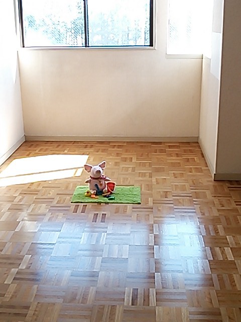 Living and room. Day is good