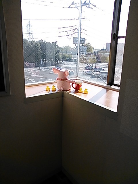 Living and room. Pig's us in the bay window also comfortably unlikely