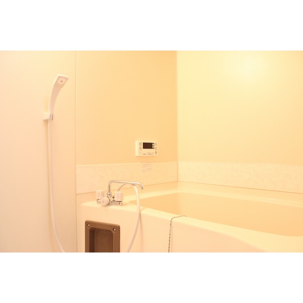 Bath. Reheating function with bus