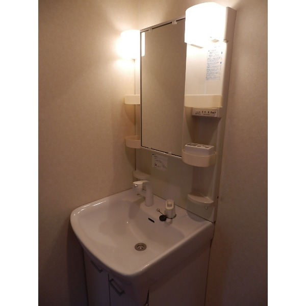 Washroom. Shampoo dresser