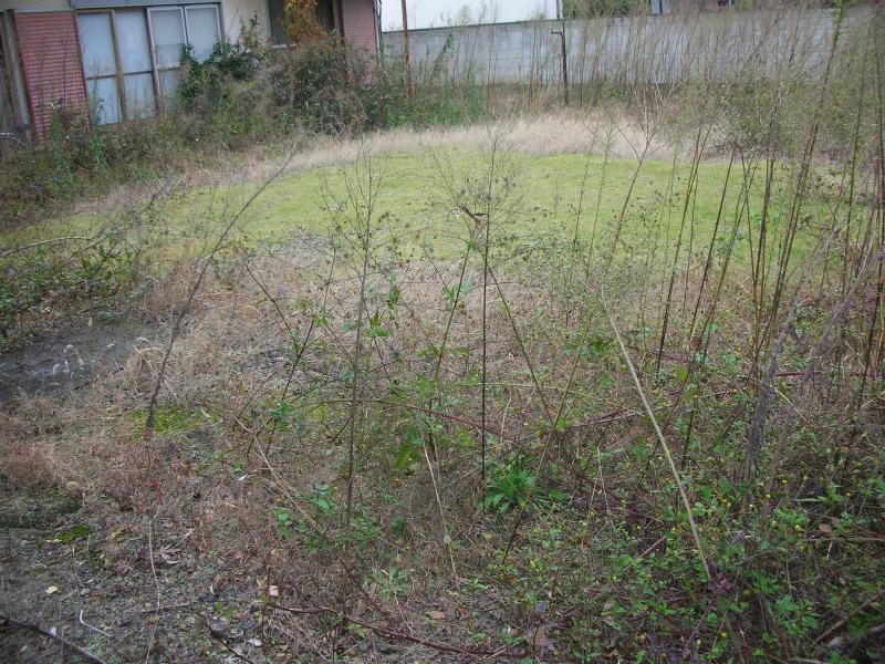 Local land photo