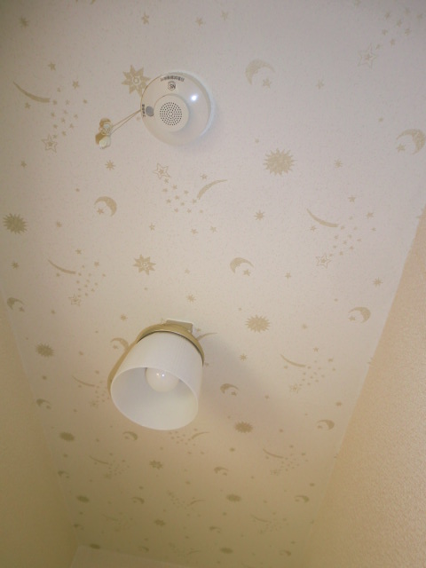 Other. Romantic and stars sparkling at night ~