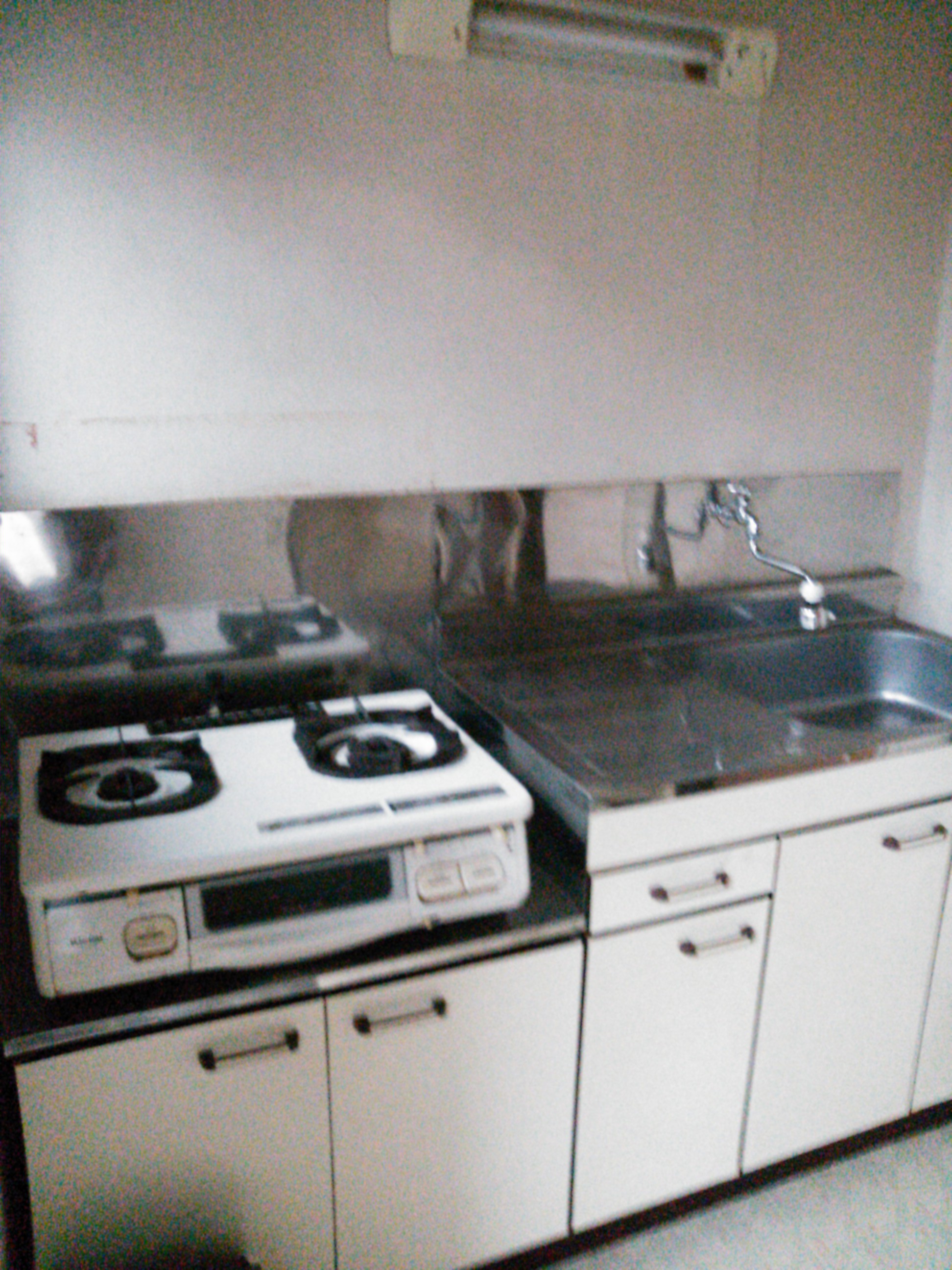 Kitchen. Compact size for living alone