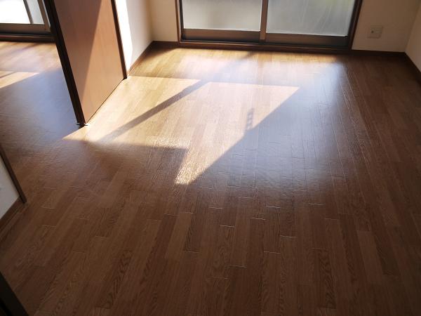 Living and room. South balcony