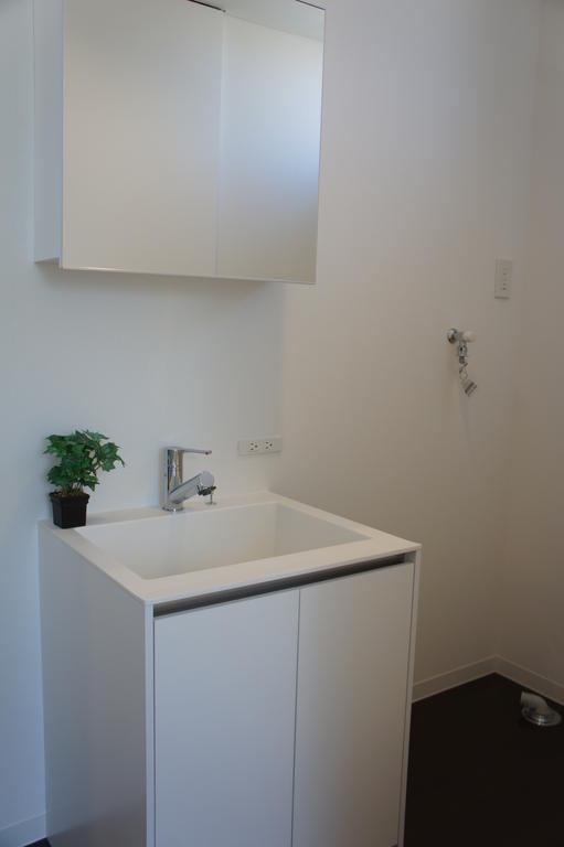 Washroom. Of course stylish wash basin oo with shower