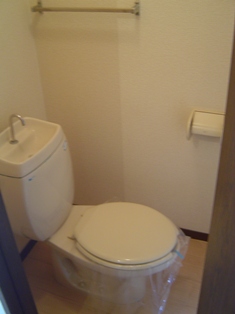 Toilet. It is a toilet with a clean