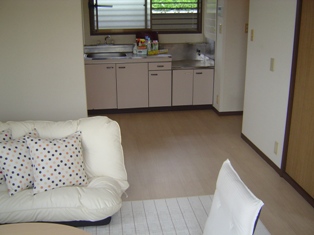 Other. There are also wide to put sofa