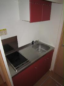 Kitchen. Electric stove