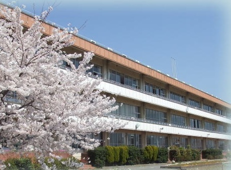 Junior high school. 1626m to Ota Municipal Ojima junior high school (junior high school)