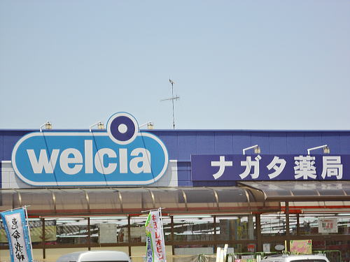 Dorakkusutoa. Nagata pharmacy Iwasegawa shop 587m until (drugstore)