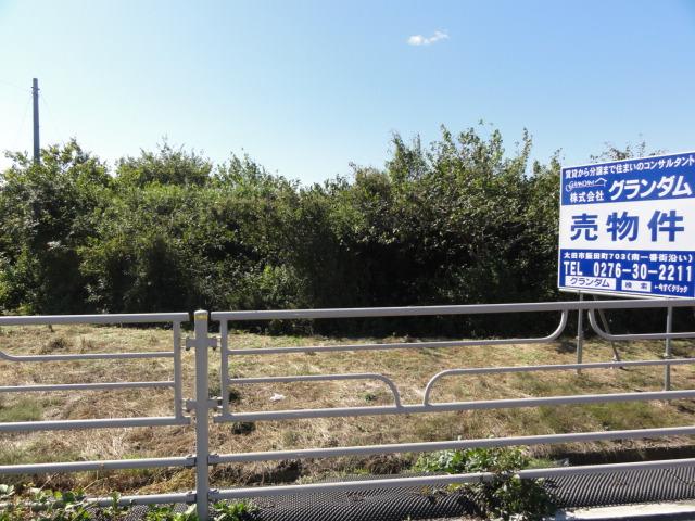 Local land photo