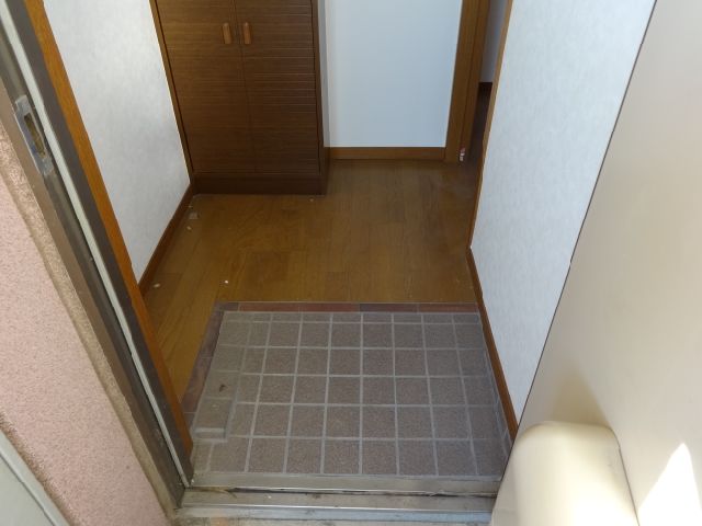 Entrance. Cleaner also comes with shoe boxes at the entrance. 