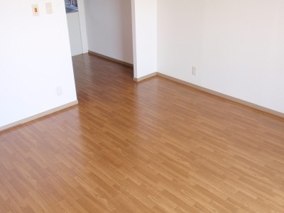 Living and room. Spacious living room also put the sofa